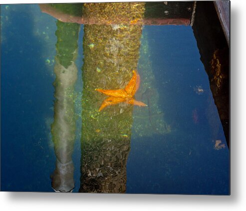 Gig Harbor Metal Print featuring the photograph Harbor Star Fish by Tikvah's Hope