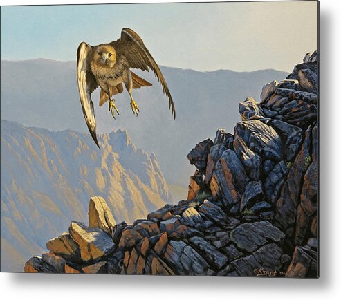 Wildlife Metal Print featuring the painting Hawk Above Beartooth Pass by Paul Krapf