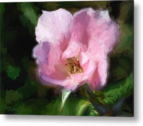 Photography Metal Print featuring the photograph Heritage Rose by Ludwig Keck