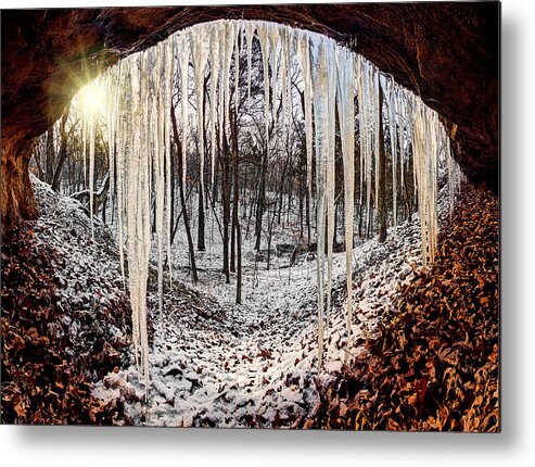 2012 Metal Print featuring the photograph Hinding from winter by Robert Charity