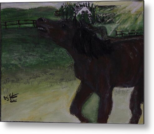 Horse Metal Print featuring the painting Home Sweet Horse by Katrina Ricci