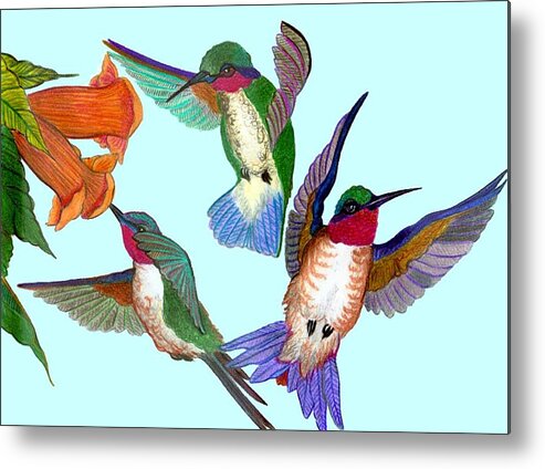 Hummingbirds Metal Print featuring the drawing Hummingbirds by Anthony Seeker