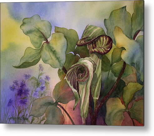 Watercolor;painting;art;fine Art;jack In The Pulpit Metal Print featuring the painting Jack in the Pulpit by Johanna Axelrod