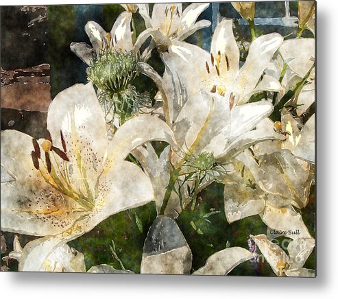 Lily Metal Print featuring the photograph Lilies for Easter by Claire Bull