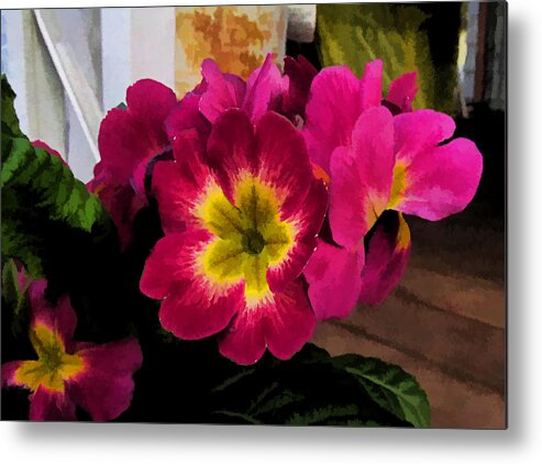 Ron Roberts Metal Print featuring the photograph Little Primrose flowers by Ron Roberts