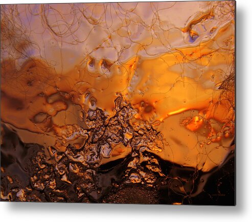 Look Out Metal Print featuring the photograph Look Out by Sami Tiainen