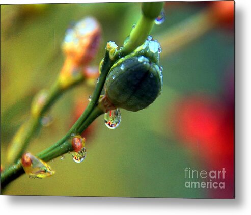 Raindrops Metal Print featuring the photograph Magic droplets by Yumi Johnson