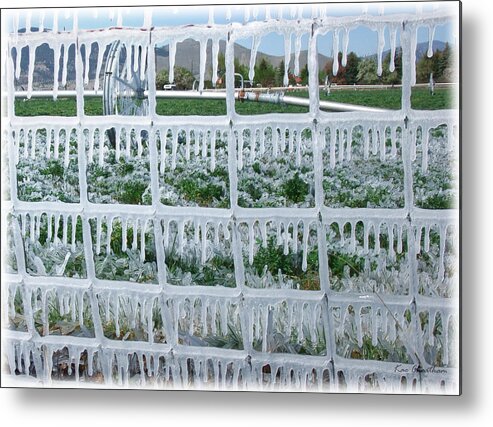 Ice On Fence Metal Print featuring the photograph May Irrigation #2 by Kae Cheatham