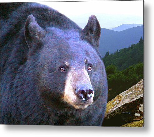 Duane Mccullough Metal Print featuring the photograph Mister Bear by Duane McCullough