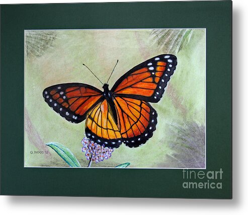 Viceroy Butterfly Metal Print featuring the photograph Viceroy Butterfly by George Wood by Karen Adams