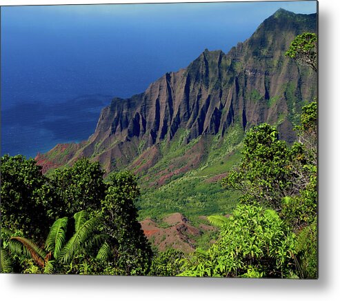 Hawaii Metal Print featuring the photograph Napali Coast by James Knight