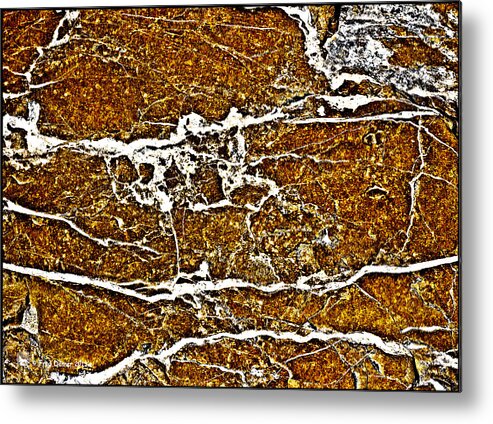 Rock Veins Metal Print featuring the photograph Nature's Patterns by Fred Denner