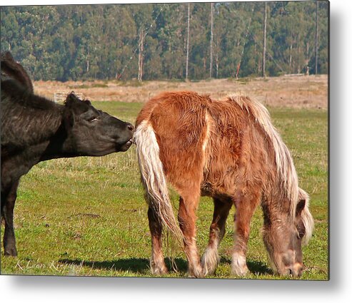 Animal Metal Print featuring the photograph Nosey by K L Kingston