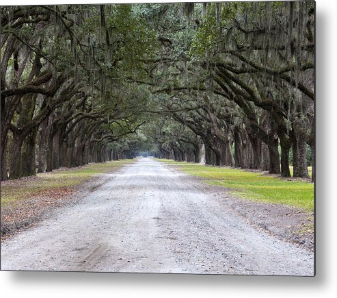 Scenery Metal Print featuring the photograph Oak Avenue by Kenneth Albin