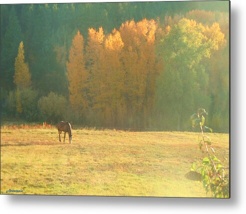 Autumn Trees Metal Print featuring the photograph October Pasture by Anastasia Savage Ealy
