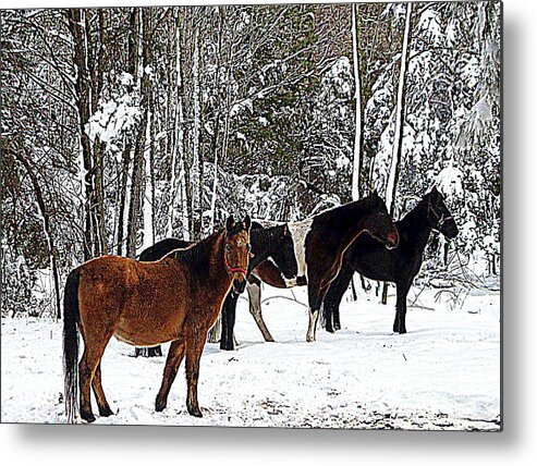 Nature Scene Metal Print featuring the painting Our Horses by Vivian Cook