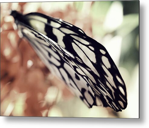 Paper Kite Metal Print featuring the photograph Paper Kite Butterfly Wings by Marianna Mills