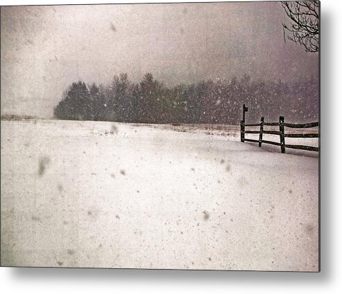 Winter Metal Print featuring the photograph Peaceful Chill by Abbie Loyd Kern