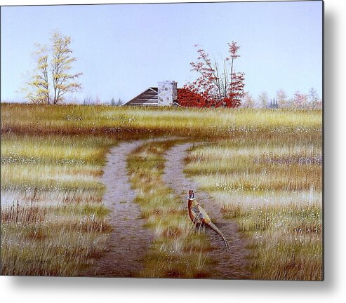 Nature Metal Print featuring the painting Pheasant Country. by Conrad Mieschke