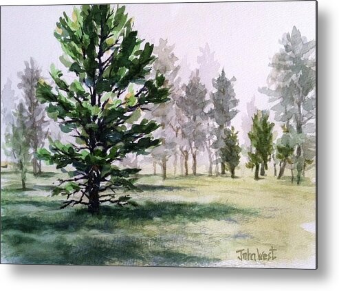 Colorado Metal Print featuring the painting Pine Tree Morning Fog by John West