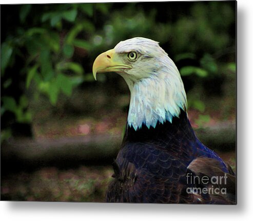 Art Prints Metal Print featuring the photograph Profile of America by Dave Bosse