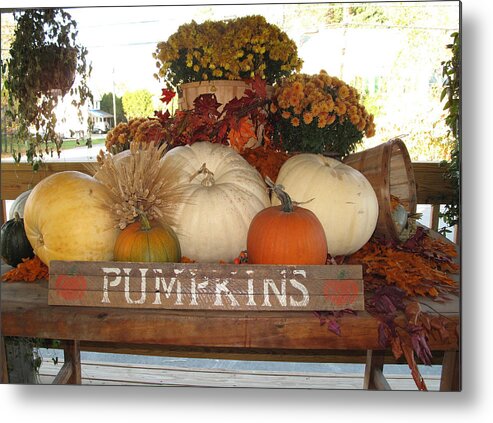 Still Life Metal Print featuring the photograph Pumpkin Welcome by Barbara McDevitt