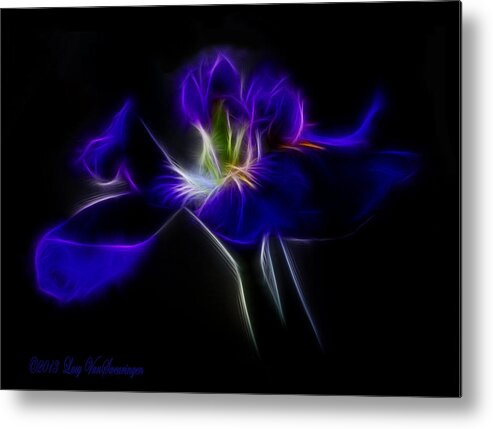 Iris Metal Print featuring the photograph Quasar Iris by Lucy VanSwearingen