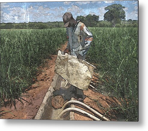 African Metal Print featuring the photograph Raising Cane by Al Harden