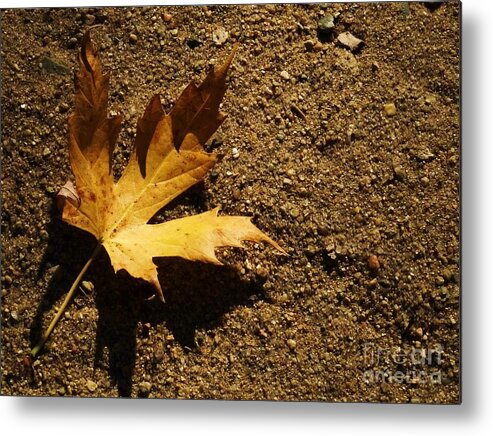 Fall Metal Print featuring the photograph Resting Shadow Sands by J L Zarek