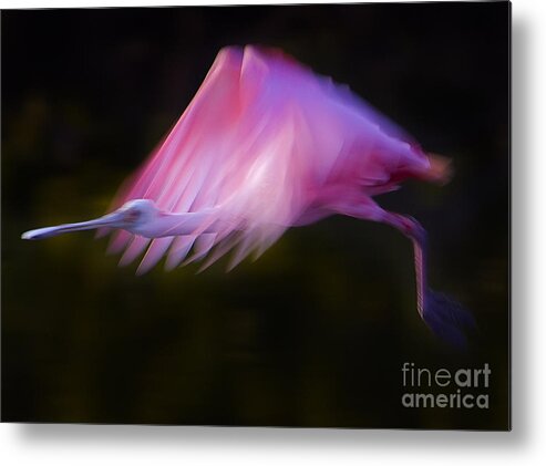 Ajaia Ajaja Metal Print featuring the photograph Roseate Spoonbill   #6205 by J L Woody Wooden