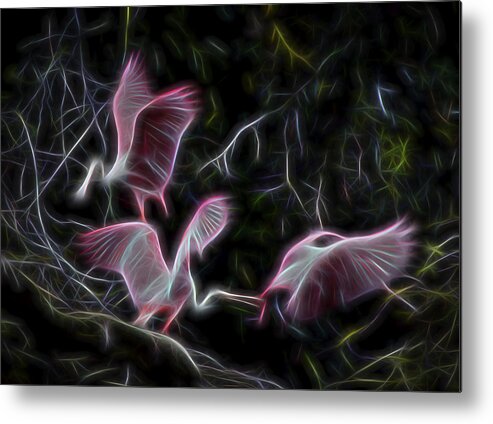 Roseate Spoonbills Metal Print featuring the digital art Roseate Spoonbills 1 by William Horden