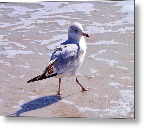 Seagull Metal Print featuring the photograph Seagull on the run by Brigitte Emme