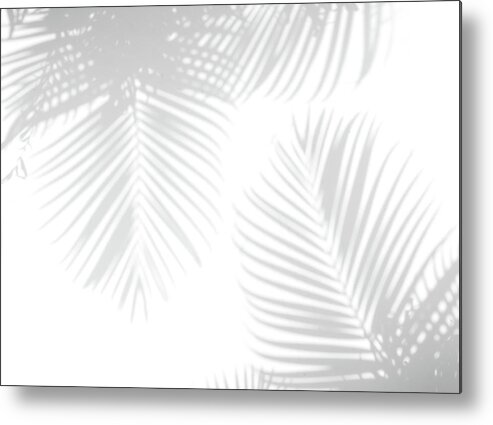 Shadow Metal Print featuring the photograph Shadow Palm Leaves by Lamyai