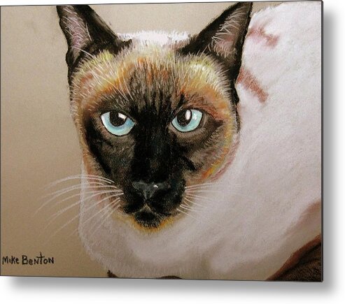 Siamese Cat Metal Print featuring the pastel Siamese by Mike Benton