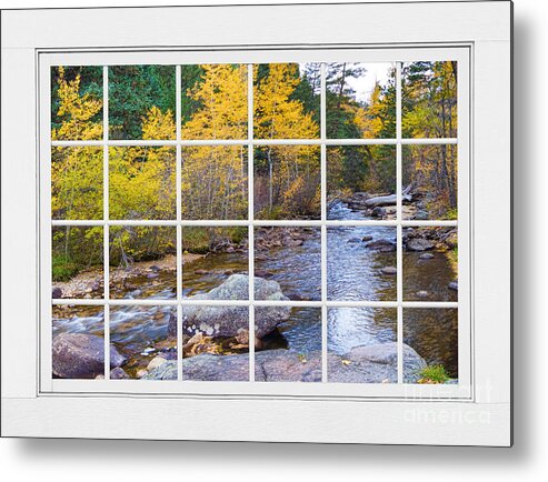 Window To Nature Metal Print featuring the photograph Special Place in the Woods Large White Picture Window View by James BO Insogna