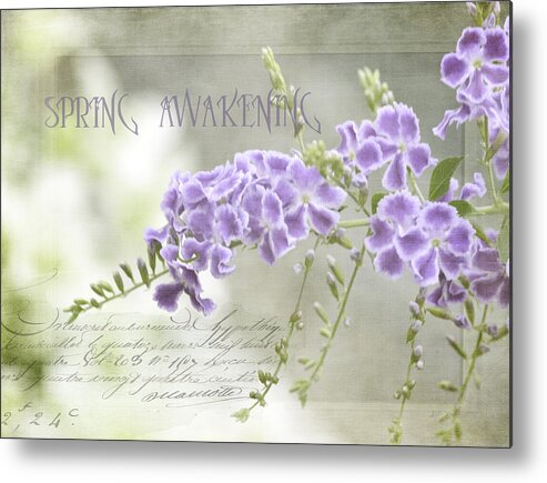 Photo Art Metal Print featuring the photograph Spring Awakening by Julie Palencia