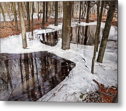 Winter Metal Print featuring the photograph Spring is Coming by Leda Robertson