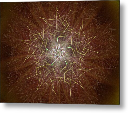 Abstract Metal Print featuring the photograph Star of Thorns by Ronda Broatch