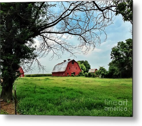 Red Barn Metal Print featuring the photograph Stovall Farms in the Mississippi Delta by T Lowry Wilson