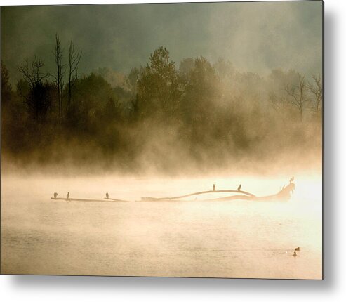 Sunrise Metal Print featuring the photograph Sunrise over the lake - 4 by RicardMN Photography