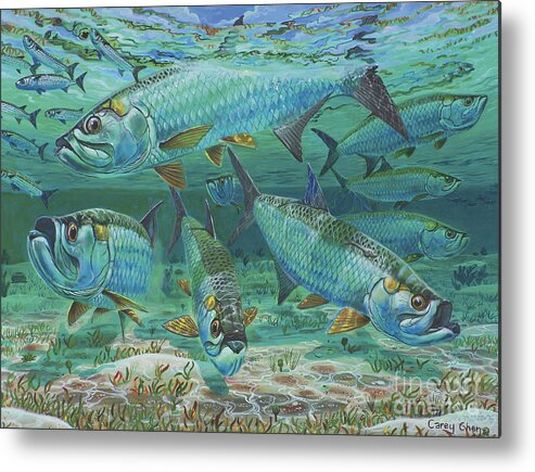 Tarpon Metal Print featuring the painting Tarpon rolling In0025 by Carey Chen