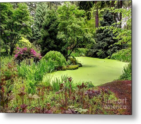 Botanical Metal Print featuring the photograph The Rhododendron Species Foundation Fern Pond by Chris Anderson