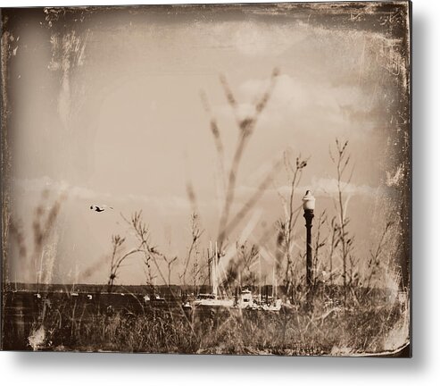 Summer Metal Print featuring the photograph The Summer Wind II by Aurelio Zucco