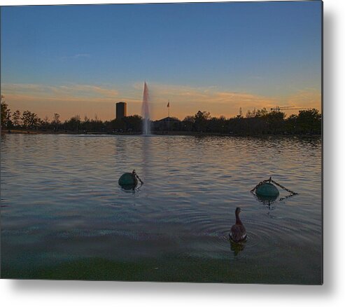 Joshua House Photography Metal Print featuring the photograph The Sunset Duck by Joshua House