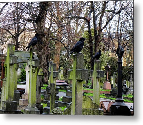 Brompton Cemetery Metal Print featuring the photograph Three Ravens by Gia Marie Houck