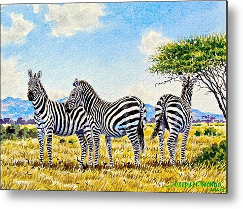 African Paintings Metal Print featuring the painting Three Zebras by Joseph Thiongo