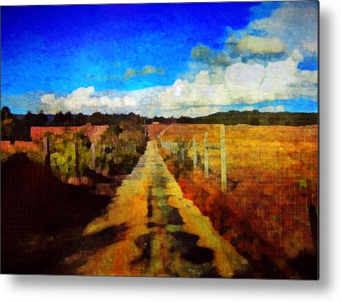 Landscape Metal Print featuring the photograph Trail of Wonder by Suzy Norris
