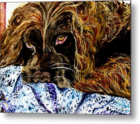 Boykin Metal Print featuring the painting Trying to Sleep Here by Lil Taylor