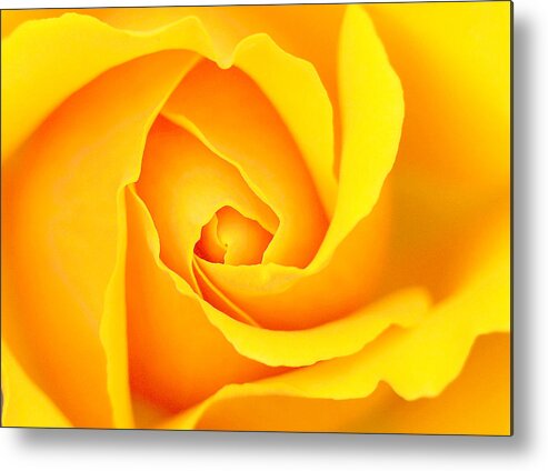  Cloe-up Metal Print featuring the photograph Vortex and Yellows by Anthony Davey