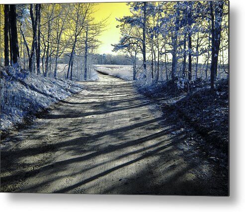 Forest Metal Print featuring the photograph Wandering Alice is Wondering by Luke Moore